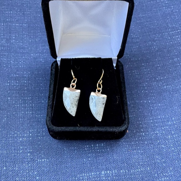 🌻NIB Howlight Gold Dipped Faceted Gemstone Fang Earrings🌻 - Picture 13 of 15